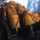 Image for article titled Let's Get Nerdy About Japanese Sake In Ghost Of Tsushima